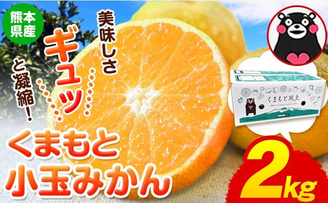 訳あり みかん 小玉みかん くまもと小玉みかん 2kg (2kg×1箱) 秋 旬 不揃い 傷 ご家庭用 SDGs 小玉 たっぷり 熊本県 産 S-3Sサイズ フルーツ 旬 柑橘 長洲町 温州みかん《9月下旬-12月下旬頃出荷予定》---ng_lcl_227_2kg---