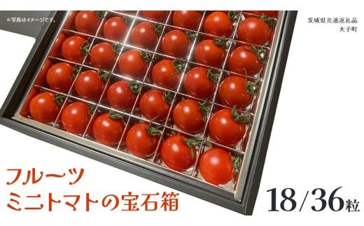 《 選べる 内容量 》フルーツ ミニトマト の宝石箱 18粒 / 36粒 (茨城県共通返礼品：大子町) 野菜 フルーツ 旬 季節限定 期間限定