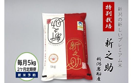 【新米受付・令和8年産米】【2ヶ月定期便】食味鑑定士板垣謹製 新潟県村上市岩船産 特別栽培 新之助 5kg×2ヶ月 1039052N｜連続 毎月 お届け 新耕農産 一等米 プレミアム米 農家直送 低温倉庫保管