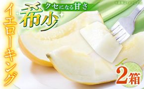【2026年5月〜発送】メロン イエローキング 2箱 （1箱 3～6玉）/ メロン めろん フルーツ 果物 / 南島原市 / 南島原果物屋[SCV040]
