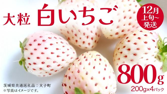 y錧vsz 嗱 200i8`12j×4pbNy2025N12{Jnz(錧ʕԗiFq)   ʕ t[c ʎ