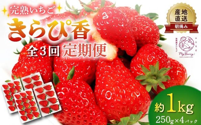 yÉ}szys\ : 2026N1`\z yS3ցz   ҍ 1kg 250g×4pbN i1A2A3j ǂ n  Yn  tbV C`S  t[c ʕ Y É }s ӂ邳ƐlC ӂ邳Ƃ