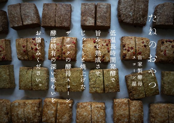 自家製酵母スコーンのお包み【たねのおやつ】_HA1616