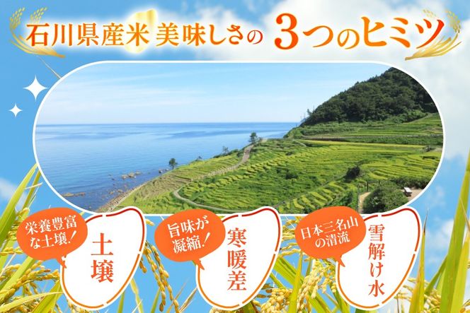 米 定期便 石川のお米 食べ比べ 5kg 3回 総計15kg こしひかり ゆめみづほ ひゃくまん穀 [中橋商事株式会社 石川県 宝達志水町 38601399] 精米 こしひかり お米 こめ コメ 定期 3ヶ月 能登米こしひかり ゆめみづほ ひゃくまん穀 石川 能登