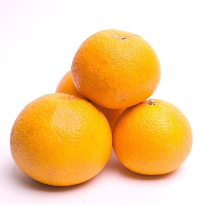 ［先行予約］厳選 はっさく10kg+250g（傷み補償分）［八朔みかん］［光センサー選別］ 	CZ187