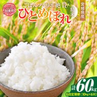 【6回定期便】 精米 令和7年産 宮城県産ひとめぼれ 計60kg (10kg×6回) [菅原商店 宮城県 加美町 ]   |sg-hb10-t6-r7
