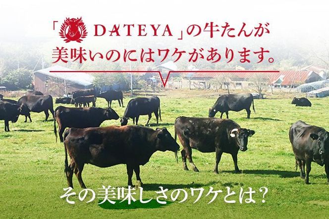 【定期便2回】仙台名物 柔らか厚切り牛たん 250g（250g×1袋）  [ タン元 タン中 牛タン 厚切り 食べ応え 味付き タン塩 肉厚 ジューシー 冷凍 旨味 ギフト 贈答用 焼肉 バーベキュー BBQ おかず つまみ 御中元 御歳暮 おうち焼肉 ] 041009_CL022
