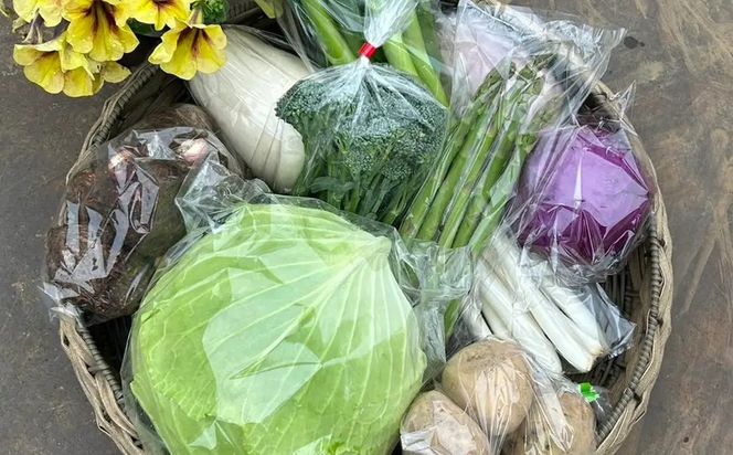 159-2024-02　【冷蔵便】季節のこだわり野菜セット 野菜詰め合わせ（春野菜 夏野菜 ハーブ など）