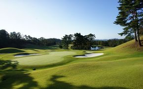 パインツリーゴルフクラブ 1名様土日祝日プレー無料優待券（昼食付） ゴルフ場 利用券 優待チケット 丘陵 林間 コース 松林 自然 戦略的 スポーツ 趣味 ビジネス 社会人 