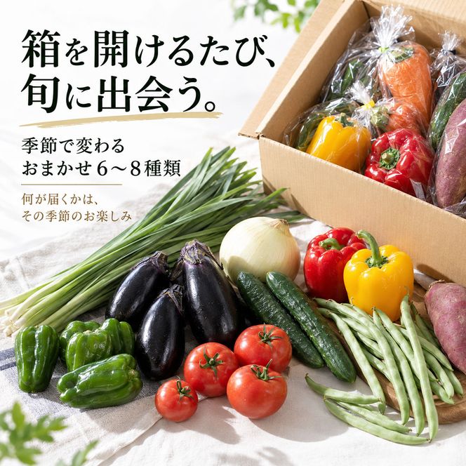 【CF-R7hbk】KPP030　朝どれ！ 野菜詰合せ／芸西村で採れた新鮮な野菜6～8種類をお届けします。特産品 ピーマン ナス こだわりの栽培方法 環境に優しい 安全で安心な野菜づくり  支援品