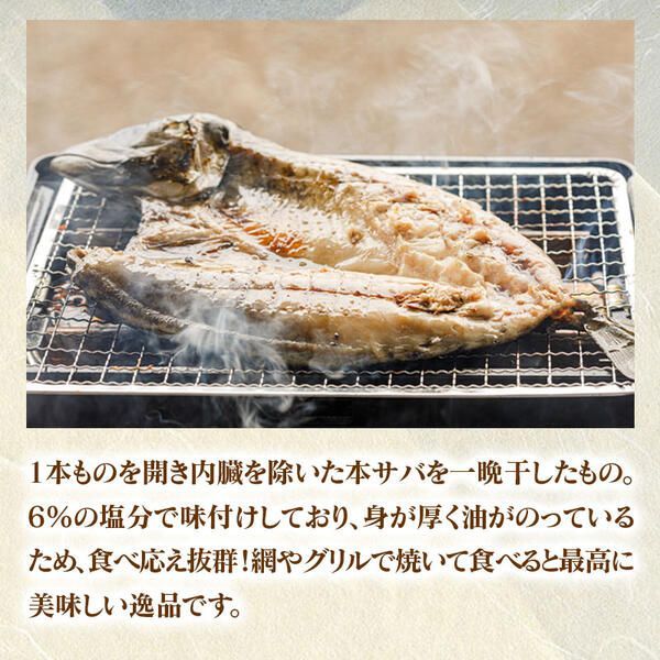 ひむか本サバの一夜干しと炙り、さばフィレのセット N025-YB085