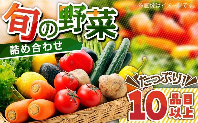 地元の農家さんが収穫した旬のお野菜詰合せセット 10品目以上  / 南島原市 / ミナサポ [SCW022]