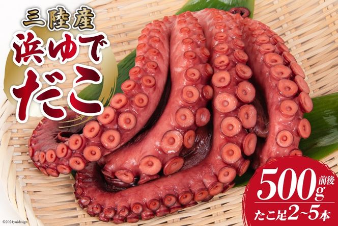 タコ 三陸産 浜ゆでだこ 約500g (足2～5本入) [村東商店 宮城県 気仙沼市 20564846] たこ 蛸 茹でダコ 茹で蛸 茹蛸 三陸 冷凍 タコ足 蛸足 たこ足 水ダコ 水蛸 水だこ 浜ゆで ごちそう 海鮮 魚介 魚介類