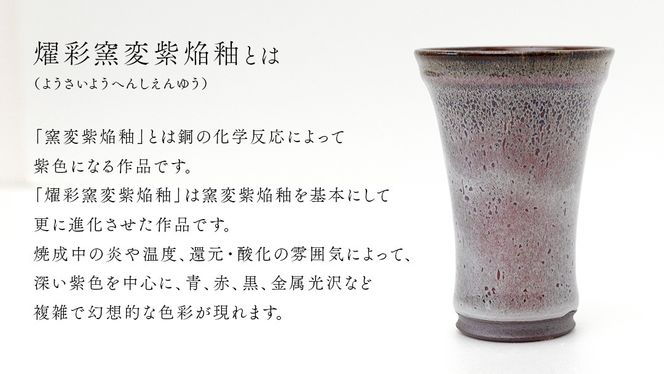 【燿彩窯変紫焔釉】ビアグラス （小野寺裕司 作） 径7.7cm×高さ11.5cm | ビール 焼酎杯 酒杯 陶器 陶芸 ギフト 贈答 [EW46-NT]