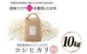 特別栽培米 コシヒカリ ヒロシノキモチ 精米 10kg ブランド米 銘柄米 国産 米 お米 日本米 ギフト 贈り物 備蓄 防災 食品 陽咲玲 はるざれ F6T-985