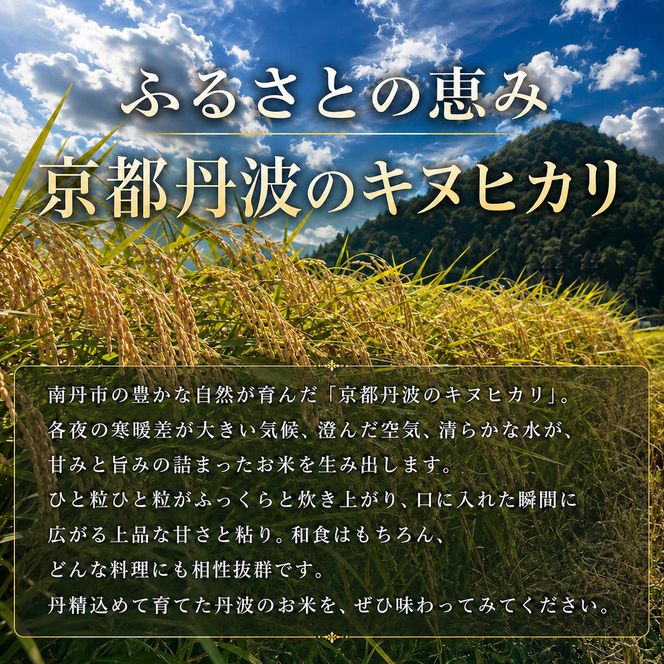 令和8年産 京都丹波産キヌヒカリ 5kg 米 お米 新米 南丹市 京都 令和8年 5キロ 新米26