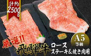 店主こだわり雌牛 飛騨牛A5等級　ステーキ＆焼き肉用計約2.5kg [No.117]
