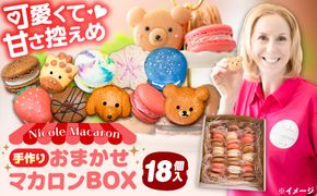 おまかせ マカロン ボックス 18個入 マカロン 焼菓子 スイーツ 愛西市 / ニコールマカロン[AEDA003]
