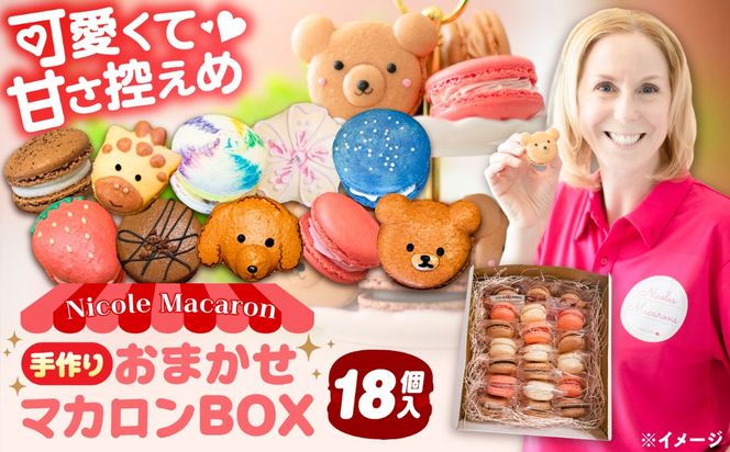 おまかせ マカロン ボックス 18個入 マカロン 焼菓子 スイーツ 愛西市 / ニコールマカロン[AEDA003]