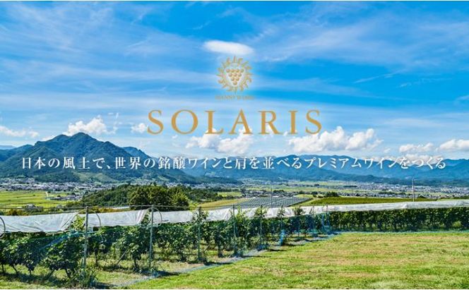 テロワールセット(紅白セット)  ワイン お酒 赤ワイン 白ワイン ワインセット 果実味 しっかりしたタンニン 