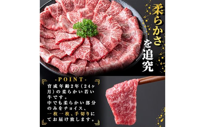 鹿児島県志布志市産横峯黒毛和牛の赤身焼肉(計450g・225g×2P) b0-195