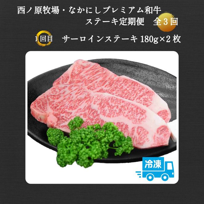 【定期便 全3回】宮崎県西ノ原牧場・なかにしプレミアム和牛ステーキ定期便（牛肉 黒毛和牛 ステーキ サーロイン モモ 定期便 A4 A5）