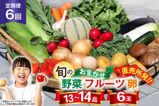 CH113 【6回定期便】 野菜・フルーツ・卵 旬のおまかせセット （野菜･フルーツ13～14種、卵6玉） [ 野菜セット 野菜 フルーツ 果物 たまご 鶏卵 産地直送 厳選 長崎県 島原市 送料無料]