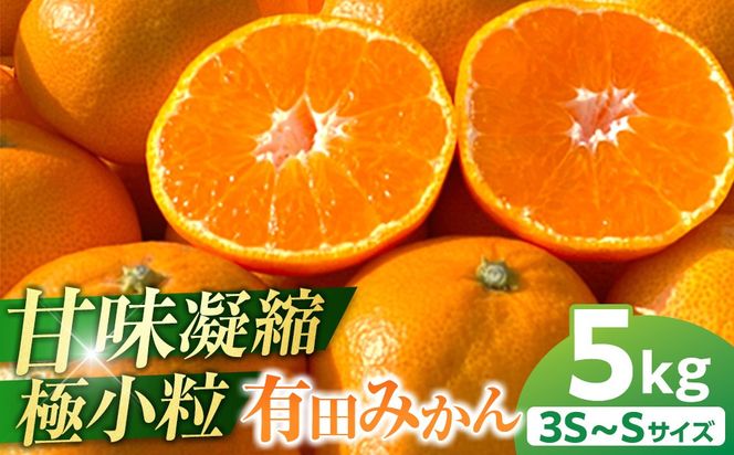 完熟 小粒 有田みかん 5kg 甘味凝縮 和歌山県産 産直45年 武内園 BA04 