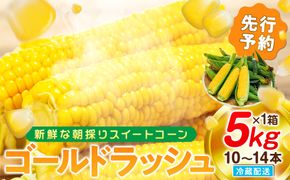 【2027年先行予約 6月下旬から出荷】 スイートコーン 約5kg 10～14本 冷蔵 国産 とうもろこし 先行予約 数量限定 コーン 野菜 新鮮 焼き 蒸し 産地 直送 甘い 甘口 子ども 子供 小分け 種子 肥料 さわやか すっきり 糖度 黄色 人気 おすすめ 愛知県 南知多町