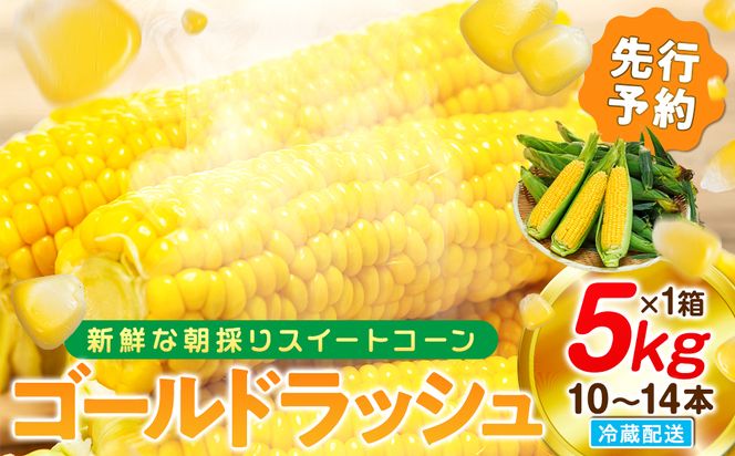 【2027年先行予約 6月下旬から出荷】 スイートコーン 約5kg 10～14本 冷蔵 国産 とうもろこし 先行予約 数量限定 コーン 野菜 新鮮 焼き 蒸し 産地 直送 甘い 甘口 子ども 子供 小分け 種子 肥料 さわやか すっきり 糖度 黄色 人気 おすすめ 愛知県 南知多町