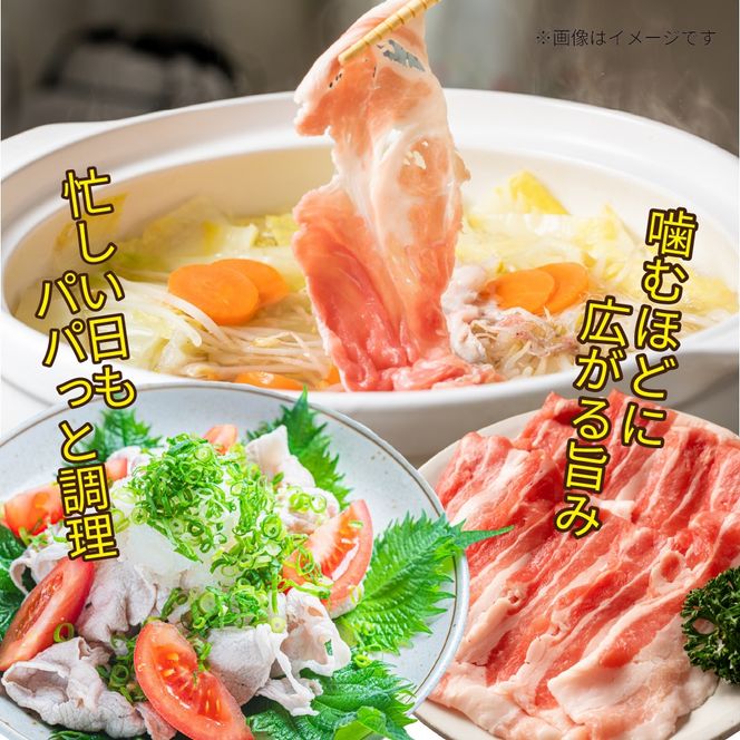 【定期便・全3回】九州産豚肉3種セット定期便(大容量 九州産豚肉 国産豚肉 炒め物 しゃぶしゃぶ とんかつ 焼肉 生姜焼き 肉じゃが カレー 豚汁)