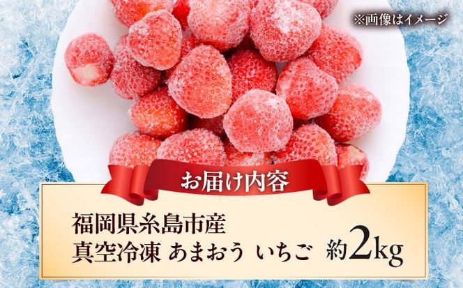 福岡県産 真空冷凍 あまおう いちご 約2kg  / 削りいちご 加工用 苺 イチゴ フルーツ 果物 / 糸島市 / mhshops[AKQ011]