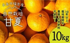【先行受付】甘夏 10kg 【2026年3月下旬以降順次発送】【 農薬 ・ 化学肥料不使用 】糸島市 / 大石ファーム[ATE004]