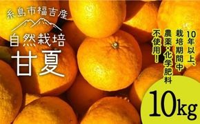 【先行予約受付中】甘夏 10kg 【 農薬 ・ 化学肥料不使用 】【2025年4月上旬より順次発送】糸島市 / 大石ファーム[ATE004]