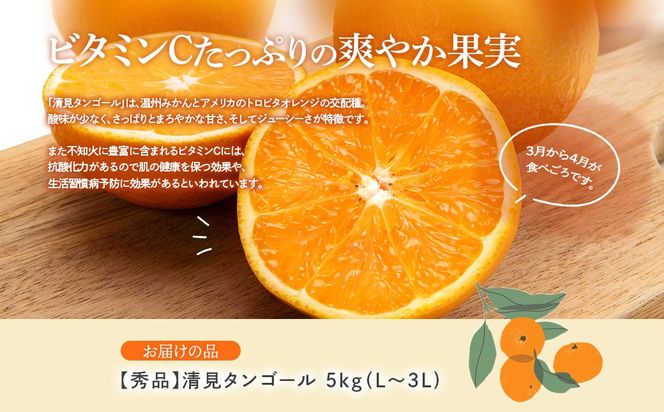 【先行予約】【秀品】清見タンゴール 5kg（L～3L）※離島への配送不可 （2027年3月上旬頃より順次発送予定） IKTAR012