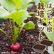 はつか大根栽培キット 甘日大根 二十日大根 家庭菜園 庭 ベランダ 手軽 栽培野菜 大分県 佐伯市【HD237】【さいき本舗 城下堂】