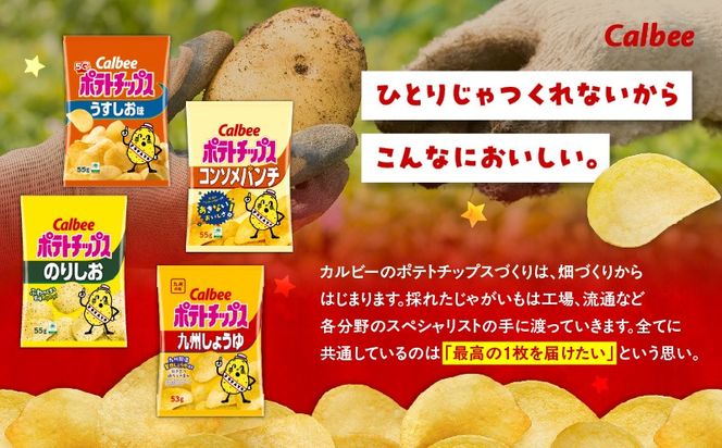 ＜選べる食べ比べ！＞カルビーポテトチップス2種食べ比べセット（通常サイズ）計28~32袋 　K194-002_c