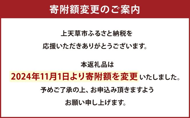 タテガミ 入り 馬肉 ハンバーグ (デミソース含む) 200g×8個