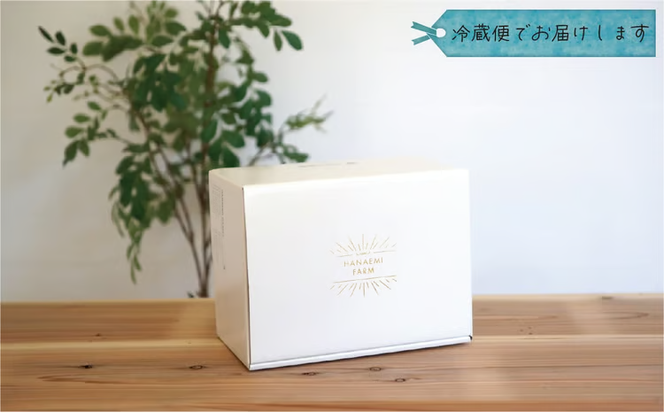 【2027年先行予約】花笑み農園　岡山の訳あり『松茸』200g 【hana023-03】