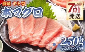 マグロ 中トロ 約250ｇ 1冊 養殖 -  鮪 まぐろ 中とろ 寿司 刺身 さしみ 海鮮丼 漬け丼 【7日程度で発送】 カルパッチョ おつまみ 新鮮 海産物 魚介 海の幸  オオジ 高知県 香南市 冷凍 oo-0026
