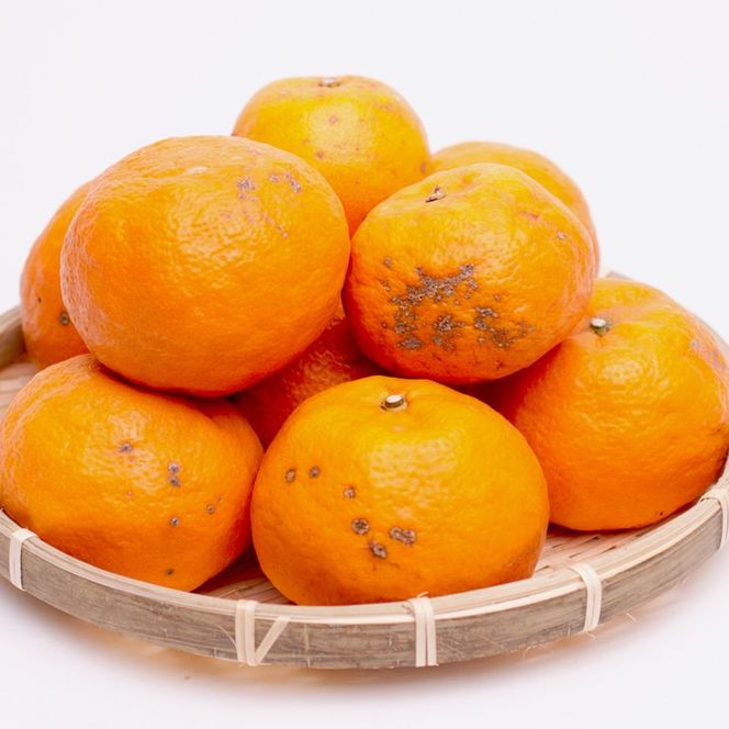 ＜4月より発送＞家庭用 カラマンダリン1kg+250g（傷み補償分）◇【南津海・なつみ】【希少な春柑橘】【わけあり・訳あり】【みかんと同じように食べられます】　※北海道・沖縄・離島への配送不可　※2026年4月上旬～5月下旬頃に順次発送予定