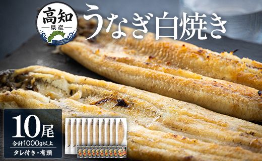 うなぎ 国産 白焼き 1kg以上 10尾×100～120g 鰻 大容量 - 蒲焼き タレ付き 国産 鰻 ウナギ 有頭 ご飯のお供 吉川水産 高知県 香南市 冷凍 yw-0082