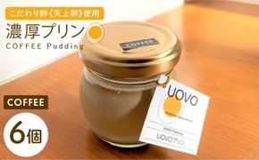 UOVO コーヒー プリン ◆ 6個 セット ◆ 《糸島市》 【株式会社おおはまファーム】 [AKH014]