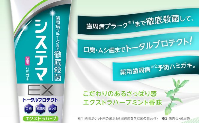 ＬＩＯＮ システマＥＸ（エクストラハーブ）１２本セット 142069_CR007