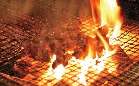 炭火焼 鶏ごぼうめしの具 5個セット 糸島市 / ヒサダヤフーズ 鶏めし かしわ飯 [AIA069] 炭火焼 炊き込みご飯 混ぜご飯 ごはんの素 鶏めし かしわ飯 まぜるだけ