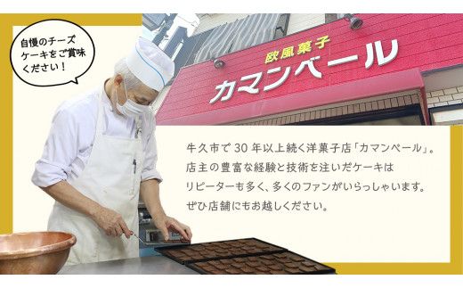 【 3ヶ月 連続 定期便 】 人気 チーズケーキ 3種 （ 各月 1種 お届け ） ホールケーキ 6号 詰合せ 食べ比べ 冷蔵 スイーツ デザート お菓子 洋菓子 ケーキ 焼き菓子 濃厚 ベイクド チーズ スフレ パンプキン 老舗 洋菓子店 ハロウィン [AF007us]