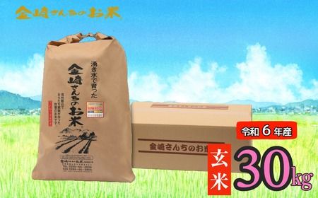 [令和6年産]「金崎さんちのお米」玄米30kg(6-5A)