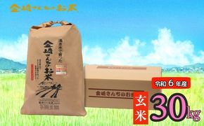 【令和6年産】「金崎さんちのお米」玄米30kg(6-5A)