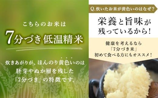 【先行予約】令和8年産 立山 天空の散歩道 吟撰米 特吟 精米 10kg×1袋 立山天空米 低温精米 国産 米 お米 日本米 ギフト 贈り物 備蓄 防災 食品 F6T-761