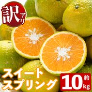 ＜先行予約受付中！2026年12月下旬以降順次発送予定＞訳あり！スイートスプリング(約10kg) 国産 鹿児島県産 阿久根市産 柑橘 みかん 果物 フルーツ デザート ご家庭用 ご自宅用 訳アリ 数量限定 期間限定 スイスプ【有限会社まなべみかん園】akn034-02